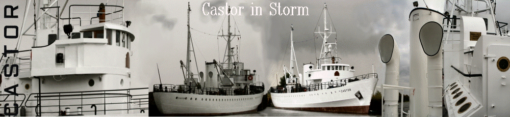 Castor in Storm